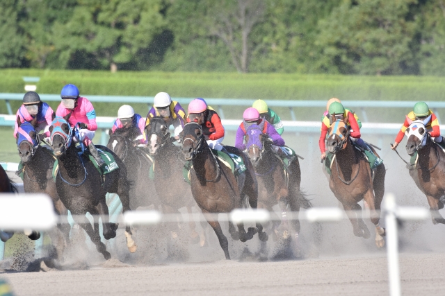 競馬のダートコース