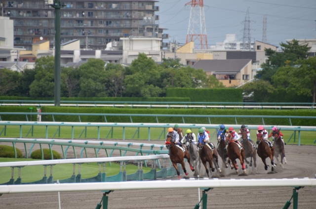 【競馬】第4コーナーで逃げた馬