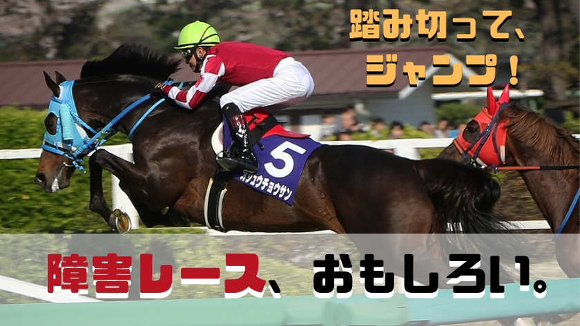 【競馬】障害レースは、面白い。