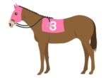 【競馬】8番の馬