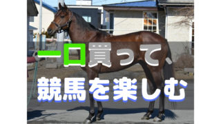 【一口馬主】一口買って、 競馬を楽しむ