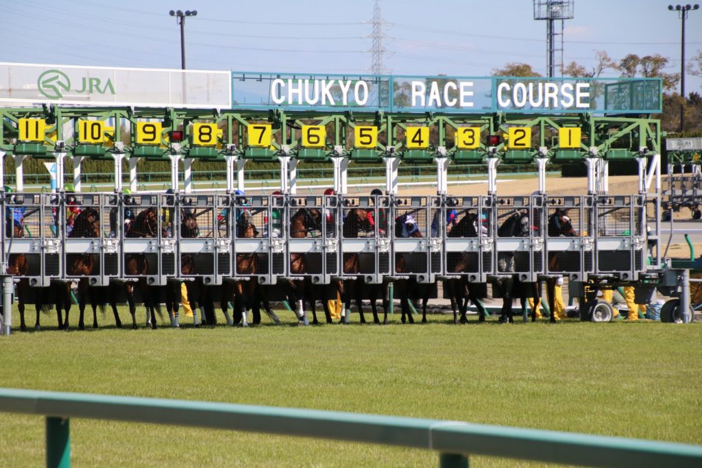 競馬の発走(ゲート開放)
